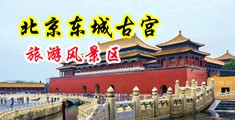 AV老公鸡鸡好大啊啊啊小说中国北京-东城古宫旅游风景区